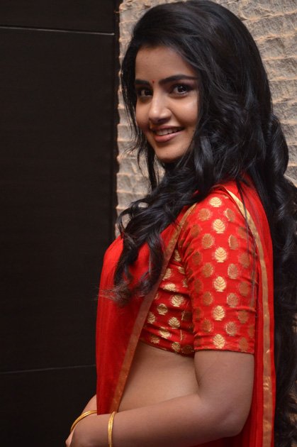 Anupama-Parameswaran-at-Shatamanam-Bhavati-Movie-Success-Meet